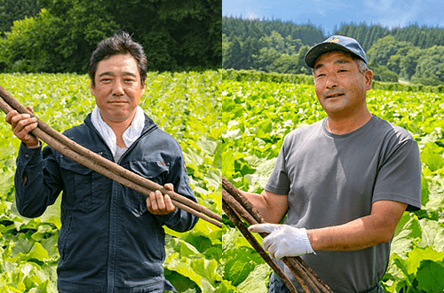 青森県の農家さんの写真