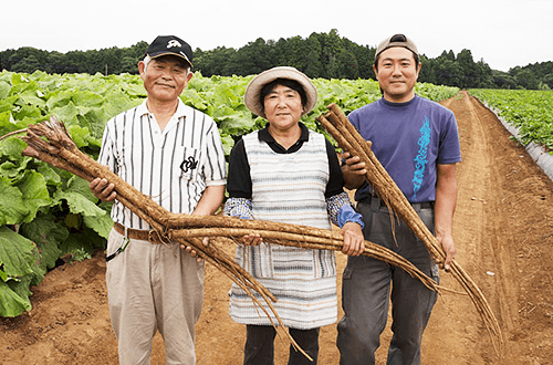 茨城県の農家さんの写真