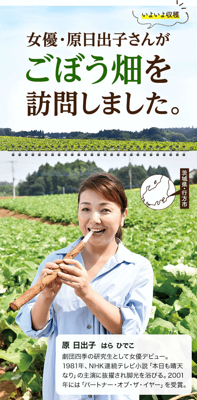 女優 原日出子さんがごぼう畑を訪問しました あじかん美食生活 公式通販サイト
