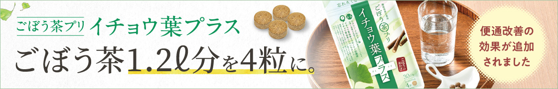 イチョウ葉プラス