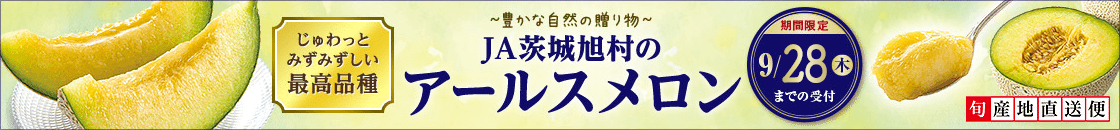 JA茨城旭村のアールスメロン