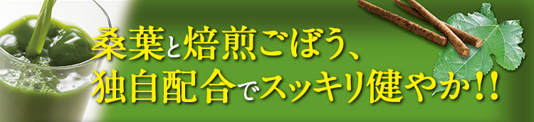 桑葉と焙煎ごぼう、独自配合でスッキリ健やか！！