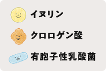 イヌリン クロロゲン酸 有胞子性乳酸菌