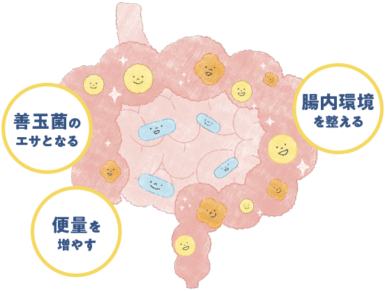 善玉菌のエサとなる 便量を増やす 腸内環境を整える