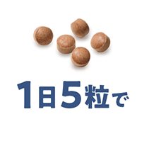 1日5粒で