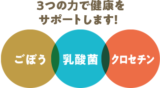 3つの力で健康をサポートします! ごぼう 乳酸菌 クロセチン