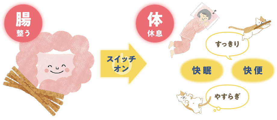 腸が整うとスイッチオン 体は休息 すっきり 快眠 快便 やすらぎ