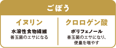 ごぼう イヌリン 水溶性食物繊維 善玉菌のエサになる クロロゲン酸 ポリフェノール 善玉菌のエサになり、便量を増やす