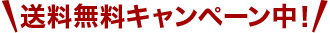 期間限定送料無料