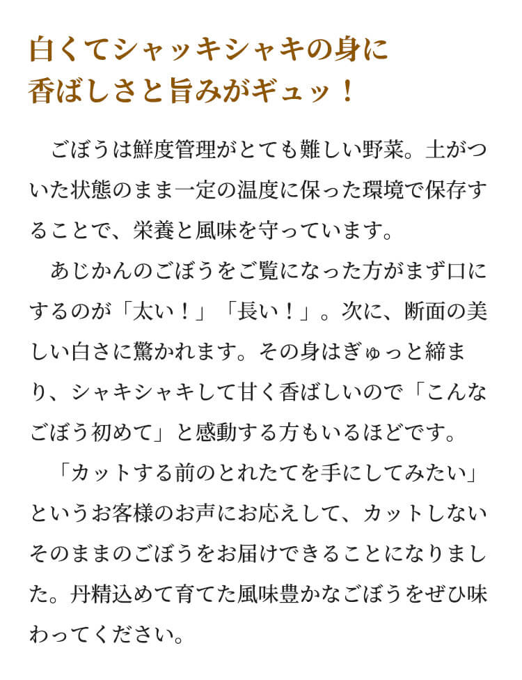 白くてシャッキシャキの身に香ばしさと旨みがギュッ！