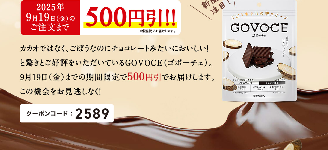 GOVOCE（ゴボーチェ）を期間限定で５００円引きでお届けします。