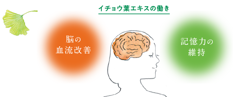 新品未開封●あじかんサプリメント●ごぼう茶プリ　イチョウ葉プラス　機能性表示食品