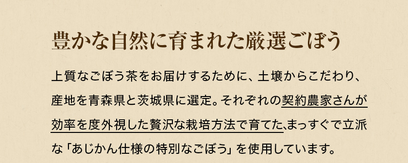 豊かな自然に育まれた厳選ごぼう