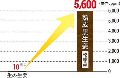 ショウガオール含有量の比較グラフ