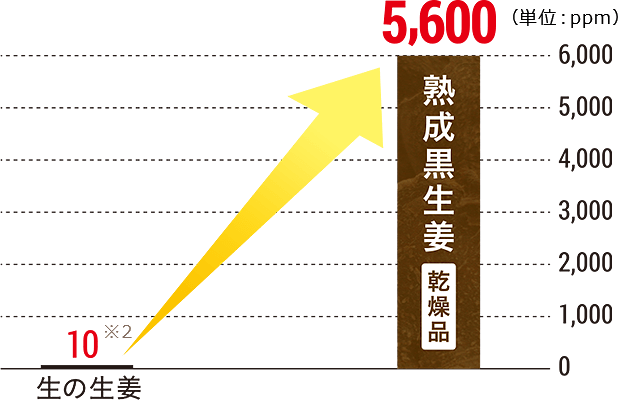 ショウガオール含有量の比較グラフ