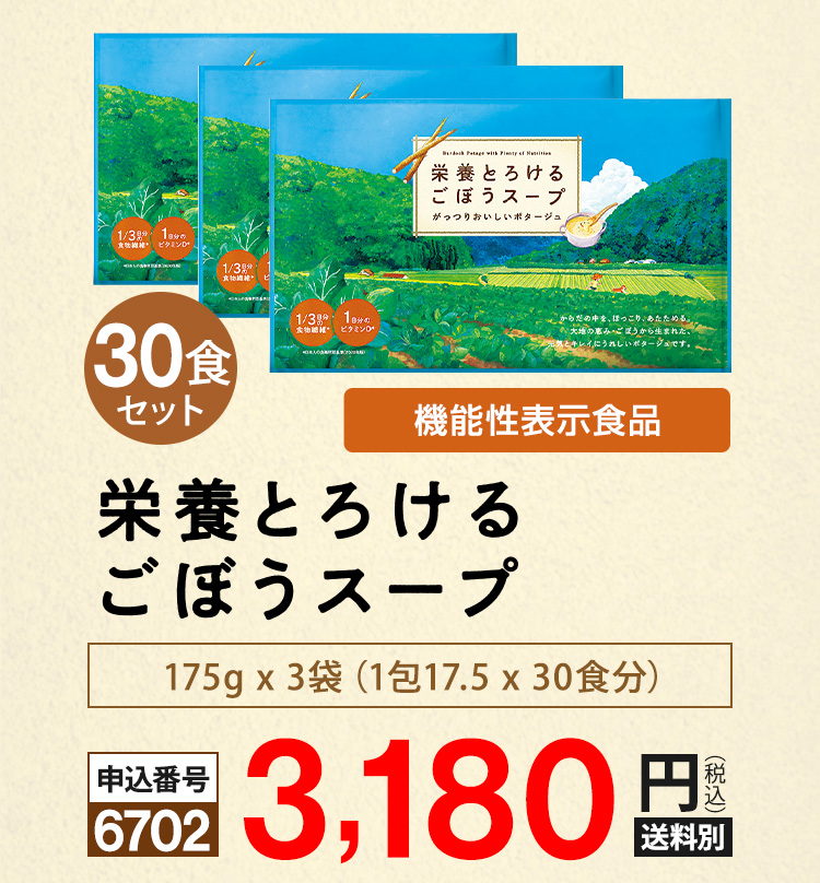 栄養とろけるごぼうスープ30食セット